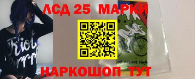 спиды Моздок