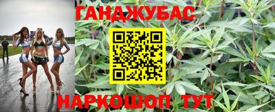 спиды Моздок